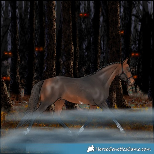 Horse Color:Bay Tobiano Rabicano 