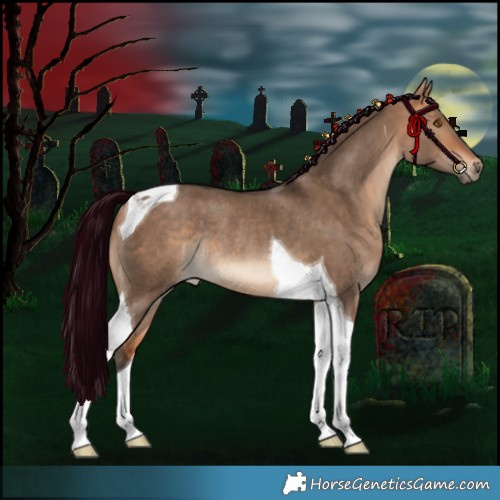 Horse Color:Bay Dun Tobiano Rabicano