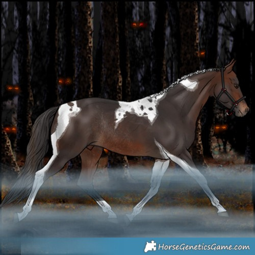 Horse Color:Brown Tobiano Rabicano 
