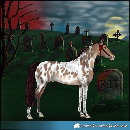Horse Color:Bay Dun Tobiano Appaloosa Rabicano 