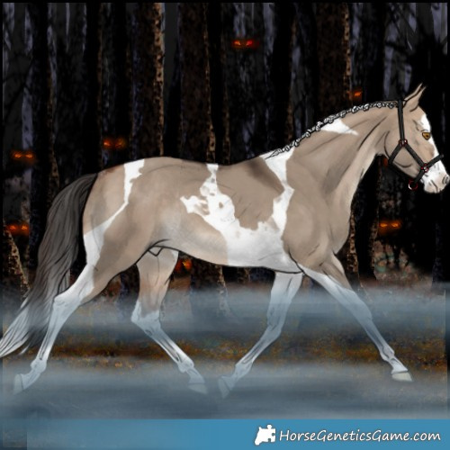 Horse Color:Bay Dun Splash Tobiano Rabicano