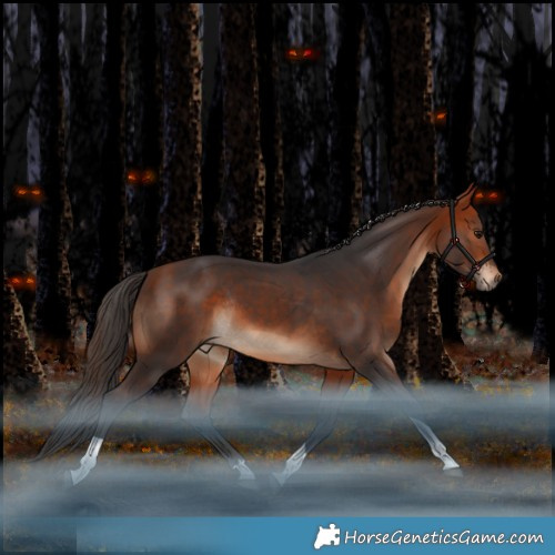 Horse Color:Bay Tobiano Rabicano 