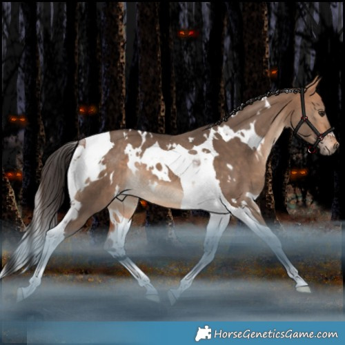 Horse Color:White Spotted Bay Dun Tobiano Rabicano 