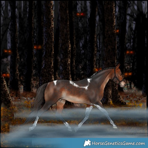 Horse Color:Bay Tobiano Rabicano