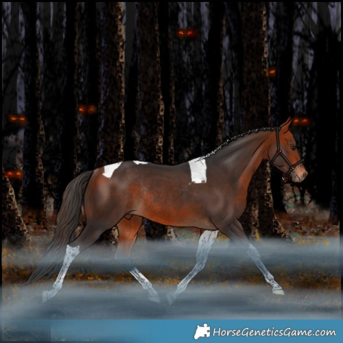 Horse Color:Bay Tobiano Rabicano