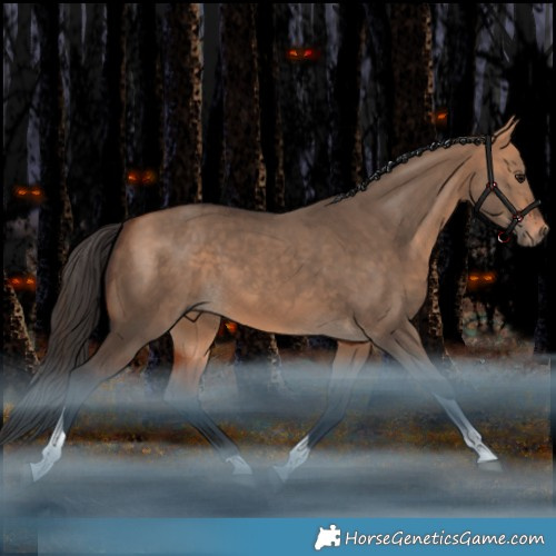 Horse Color:Bay Dun Tobiano Rabicano