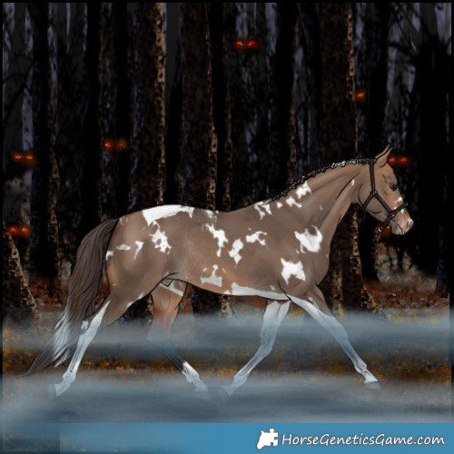 Horse Color:White Spotted Bay Dun Tobiano Varnish Rabicano