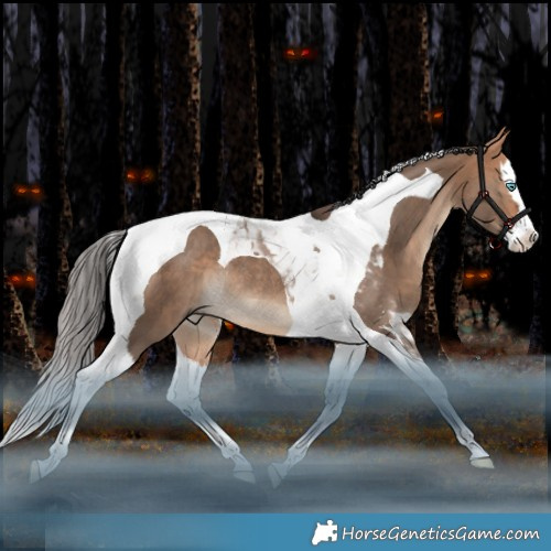 Horse Color:Bay Dun Splash Tobiano Rabicano
