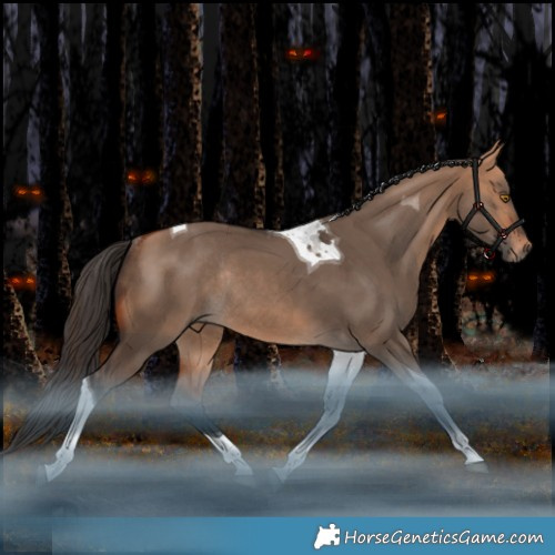 Horse Color:Bay Dun Tobiano Rabicano