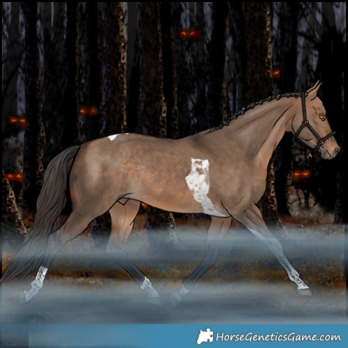 Horse Color:Bay Dun Tobiano Rabicano