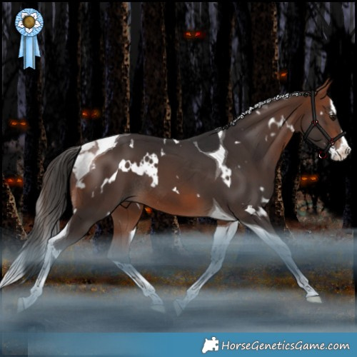 Horse Color:White Spotted Bay Splash Tobiano Rabicano