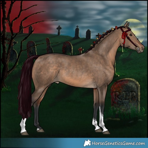 Horse Color:Brown Dun Tobiano Rabicano 
