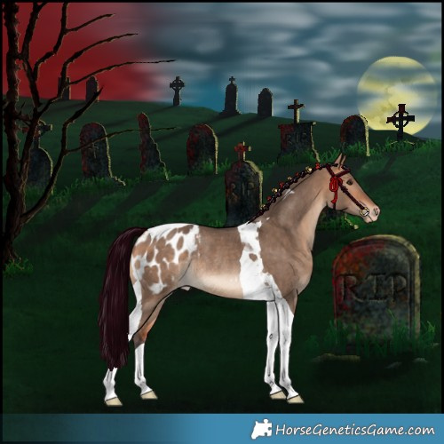 Horse Color:Bay Dun Tobiano Blanket Rabicano