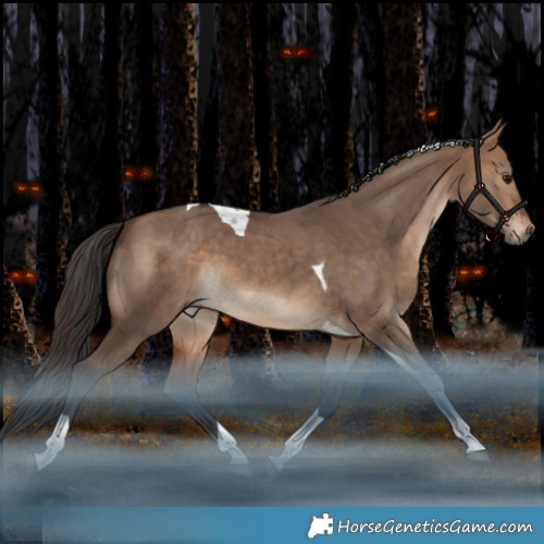 Horse Color:Bay Dun Tobiano 