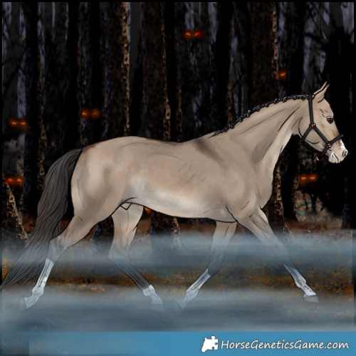 Horse Color:Bay Dun Splash Tobiano Rabicano