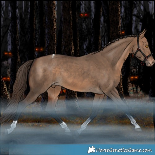 Horse Color:Brown Dun Tobiano Appaloosa Rabicano
