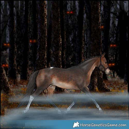 Horse Color:Bay Tobiano Rabicano 