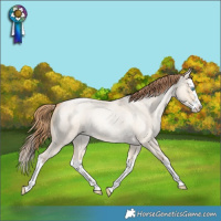 Horse Color:Buckskin Roan Pearl Dun Splash
