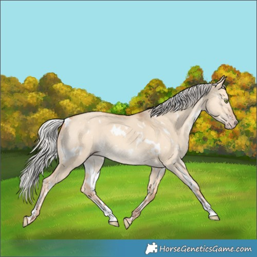 Horse Color:White Spotted Silver Amber Champagne Dun 