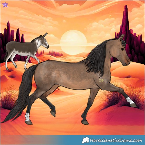 Horse Color:Brown Dun and Brown Dun