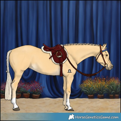 Horse Color:Palomino Dun