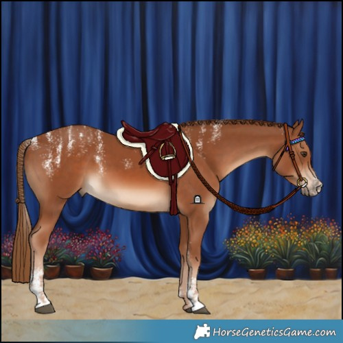 Horse Color:Powder White Chestnut