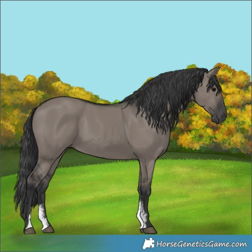 Horse Color:Grullo Sabino Rabicano