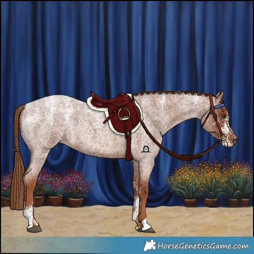 Horse Color:Powder White Red Roan Rabicano 