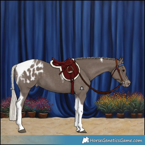 Horse Color:Silver Black Tobiano Blanket