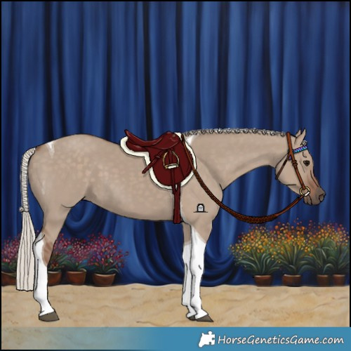 Horse Color:Silver Grullo Tobiano 