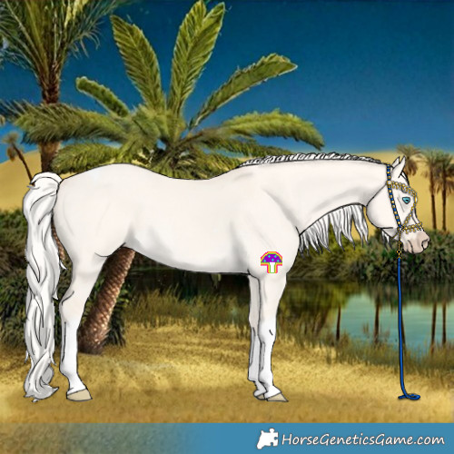 Horse Color:Cremello Dun Tobiano 