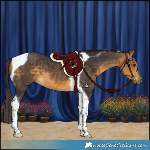 Horse Color:Buckskin Tobiano 