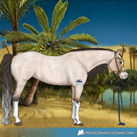 Horse Color:Bay Roan Dun Splash