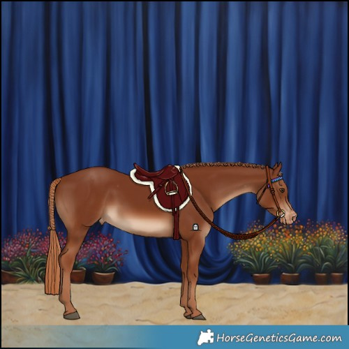 Horse Color:Chestnut Varnish Rabicano