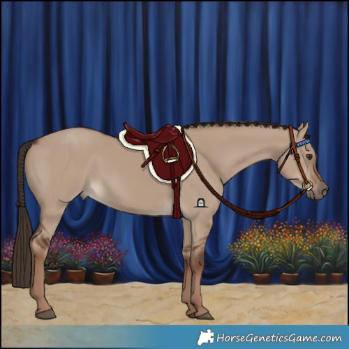 Horse Color:Liver Red Dun 