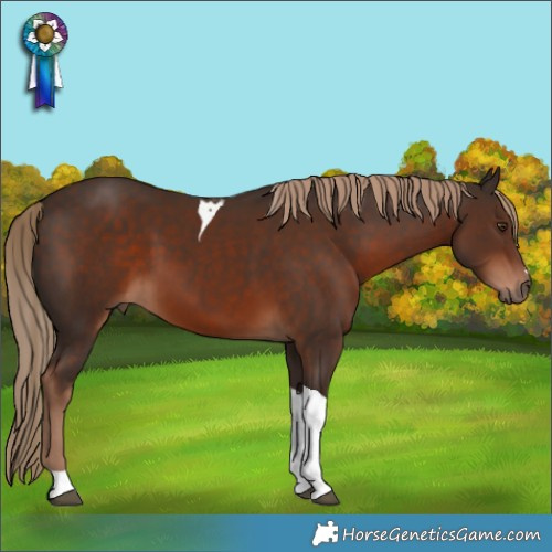 Horse Color:Liver Chestnut Tobiano 