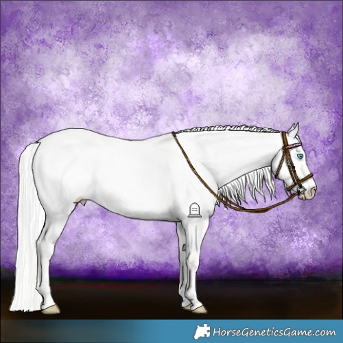 Horse Color:Silver Smoky Creme Dun 