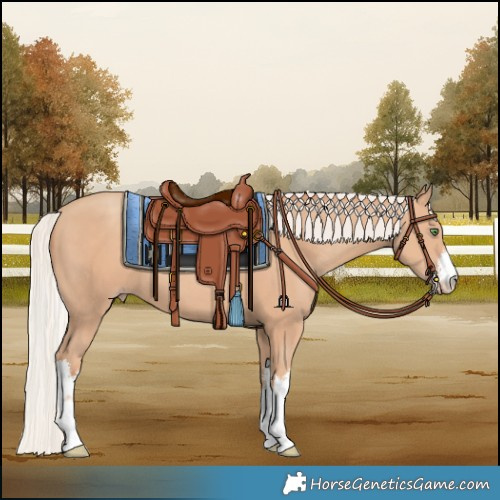 Horse Color:White Spotted Silver Classic Champagne 