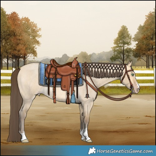 Horse Color:Amber Cream Champagne Roan Dun
