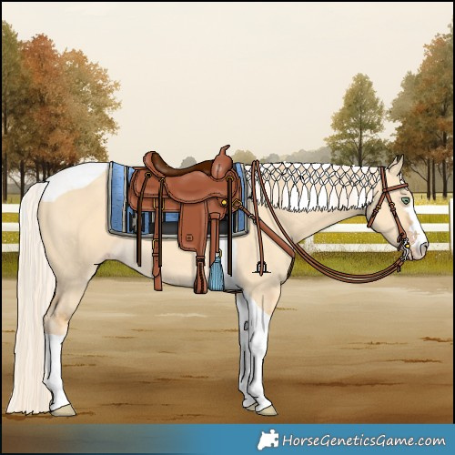 Horse Color:Gold Cream Champagne Dun Tobiano 