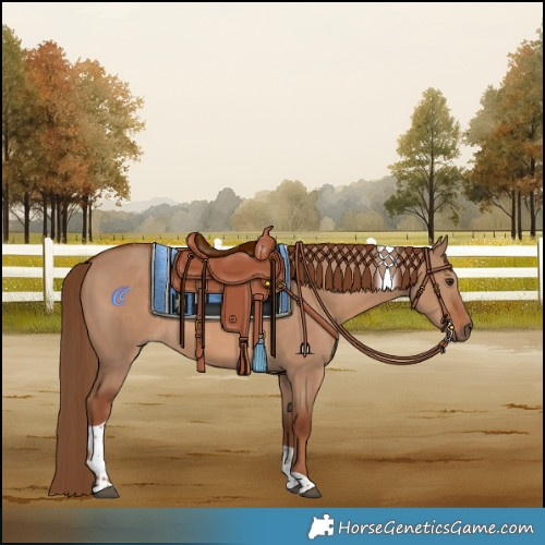 Horse Color:Red Dun Tobiano 