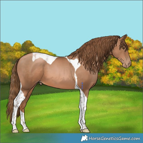Horse Color:Liver Chestnut Pearl Tobiano 