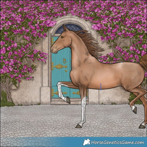 Horse Color:Liver Chestnut Pearl Tobiano
