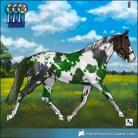 Horse Color:White Spotted Liver Chestnut Varnish 