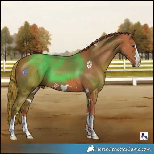 Horse Color:Chestnut 