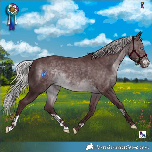 Horse Color:Chocolate Silver Brown Chinchilla 