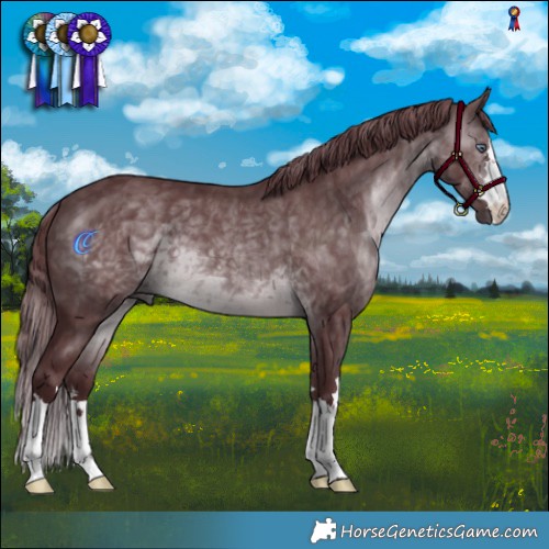 Horse Color:Chocolate Brown Chinchilla Mushroom 