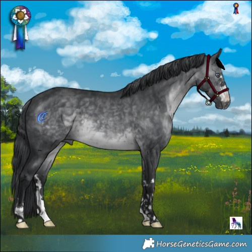 Horse Color:Brown Chinchilla Mushroom 