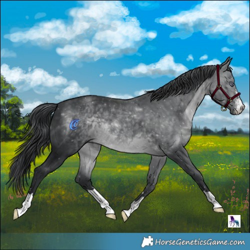 Horse Color:Brown Chinchilla Mushroom 