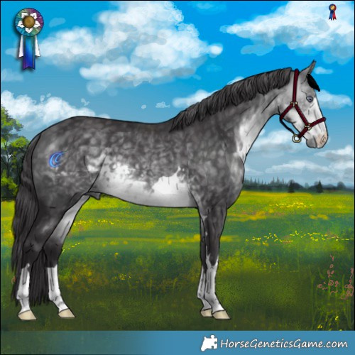 Horse Color:Buckskin Chinchilla Mushroom 